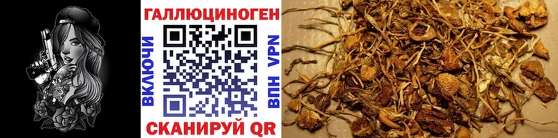 Псилоцибиновые грибы прущие грибы Плёс